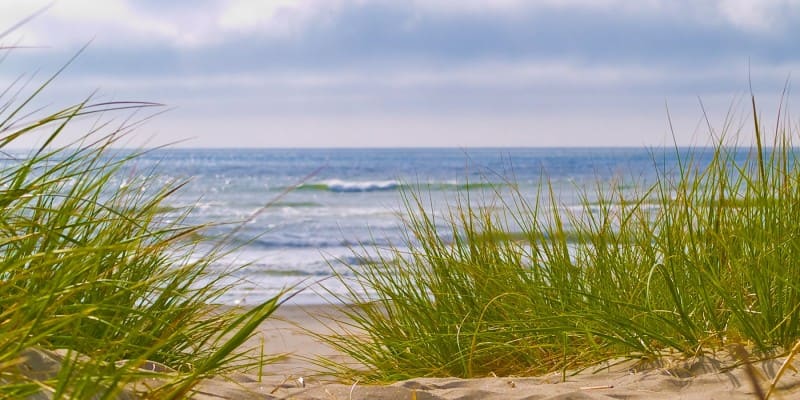 outdoor showers company cape cod